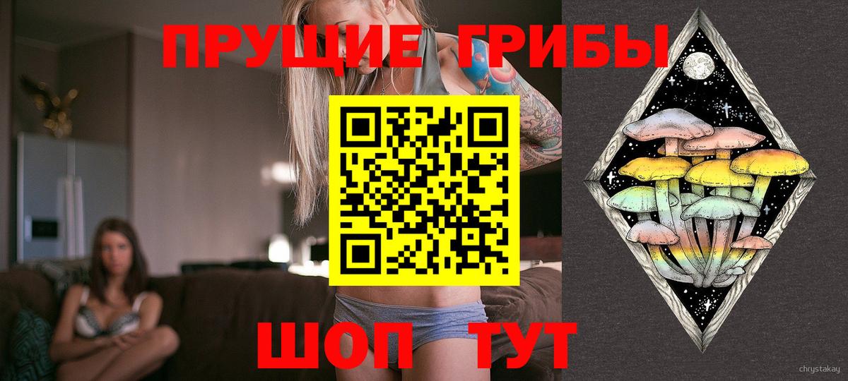 Псилоцибиновые грибы GOLDEN TEACHER Рославль