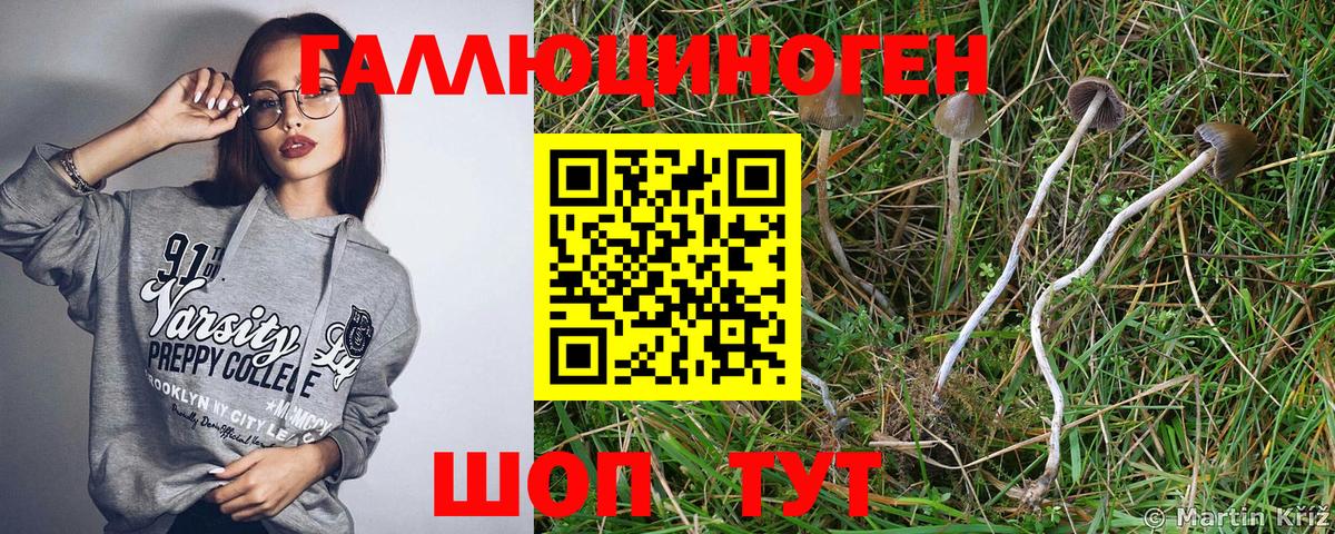 Рославль  Галлюциногенные грибы GOLDEN TEACHER  Галлюциногенные грибы Magic Shrooms  Вход с VPN 